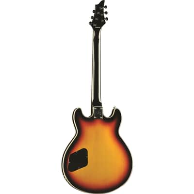 Eko Guitars MIA SA Vintage Sunburst image 2