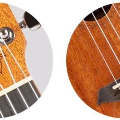 Flight, 4-String Ukulele, Mahogany, Soprano (DUS 321 MAH) image 5