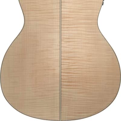 Washburn Apprentice Apprentice AG40CE w/Case image 2