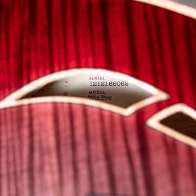 Taylor T5z Pro Hollow Body Electric Guitar - Grapevine with Hardshell Case - Factory Demo image 15