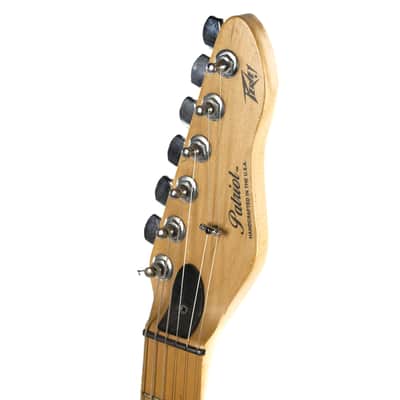 Peavey Patriot Owned by Mark Lettieri image 8