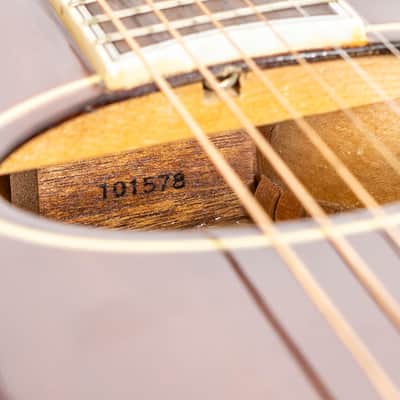 Daion The Year Series '81 Caribou - Brown (BR) - Electric Acoustic Six String image 17