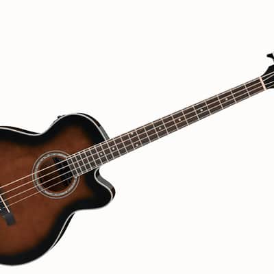 Ibanez AEB10E-DVS – 4 String Acoustic/Electric Bass 2025 - Dark Violin Sunbusrt image 1