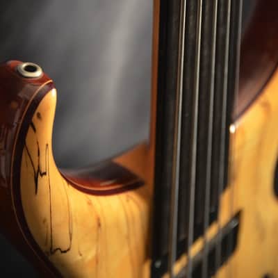 Alembic Custom CLB5 Fretless 5 String With LEDs image 9