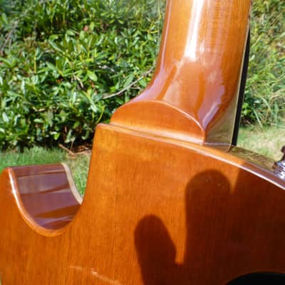 Vaschenko LP Type 2013 Vintage Amber image 16