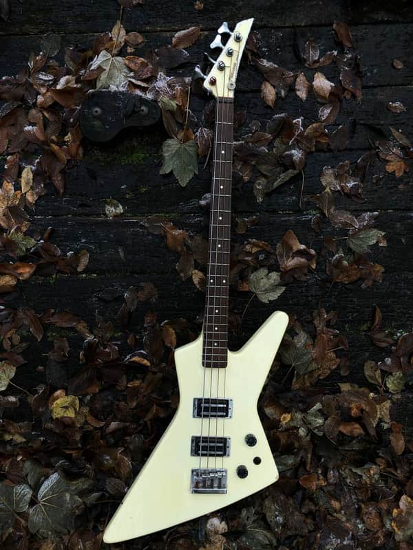 Fernandes BXB-55 | Reverb