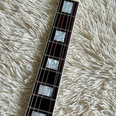 Firefly Buckethead Style Les Paul Electric Guitar image 9