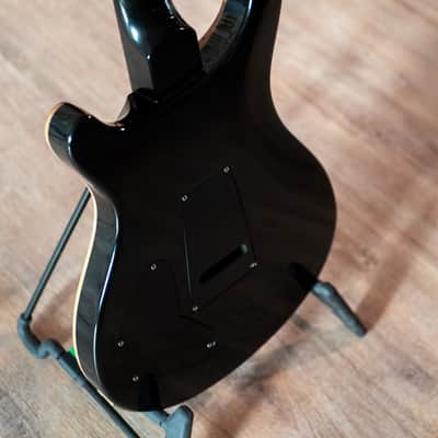 2007 PRS DGT David Grissom Tremolo Signature image 5
