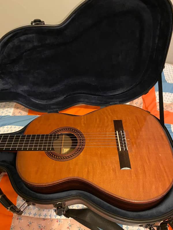 John H Dick Double Forte 2013 special ed. (double top/cedar-spruce) image 1