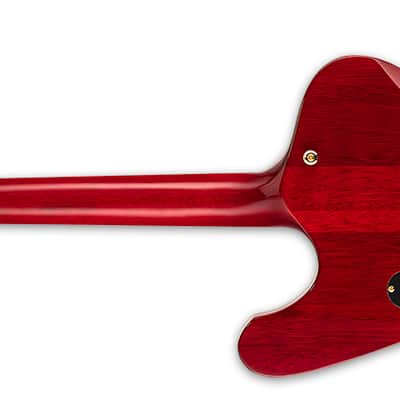 ESP LTD Phoenix-1000 See Thru Black Cherry image 4