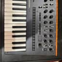 Korg Monologue Monophonic Analog Synthesizer 2016 - Present - Black