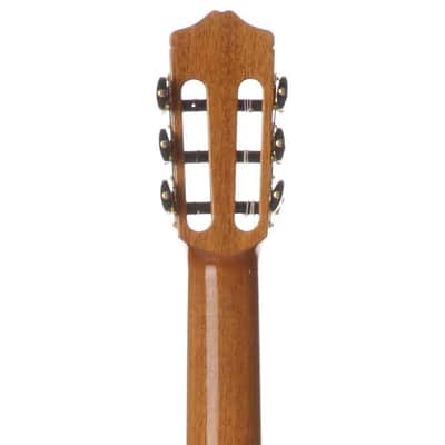 Cordoba C10 CD/IN Nylon-String Classical Acoustic Guitar (Cedar Top, Gloss Poly Finish) image 6