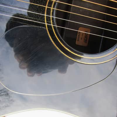 Daion The Year Series 79B Dreadnought Guitar 1979, Japan, Black, Case image 5