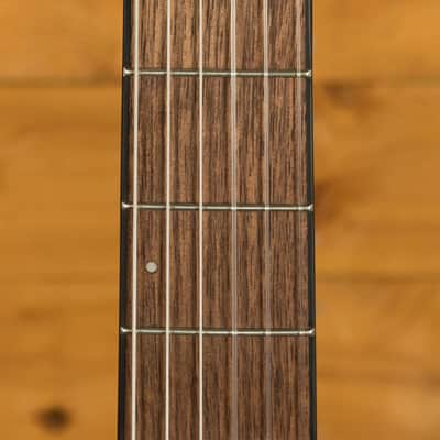 Ibanez FRH10N FRH Series Electro-Nylon - Rosewood - Rose Gold Metallic Flat image 6