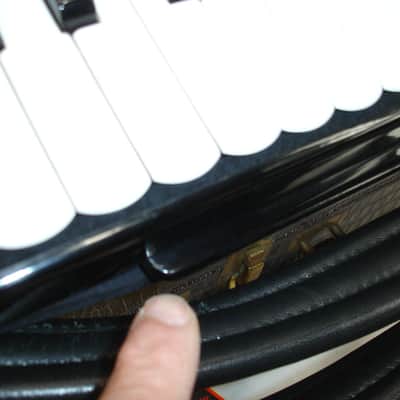Philharmonic Piano Accordion, Black w/ Case & Straps image 14