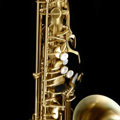 Selmer AS42M Professional Eb Alto Saxophone, Matte Finish image 7