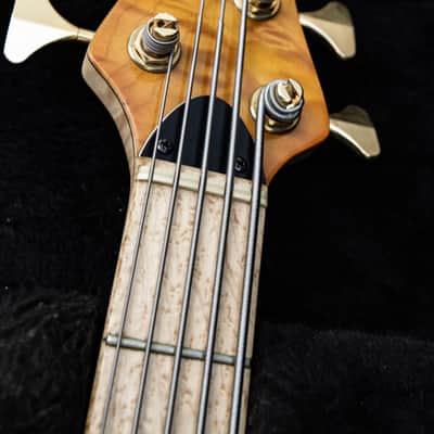 Left Handed Nordstrand Very Custom 5 String Bass image 17