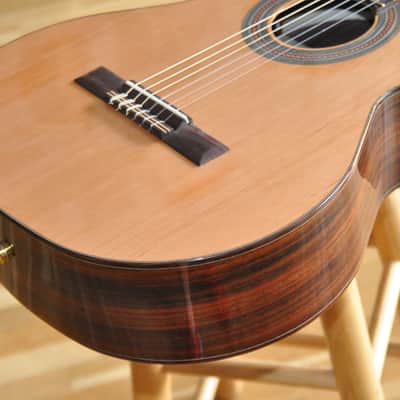 KREMONA F65CW48 Fiesta 65 CW / Crossover Nylon Electro / Performer Series / Made in Europe / 25-050-8-03 imagen 4