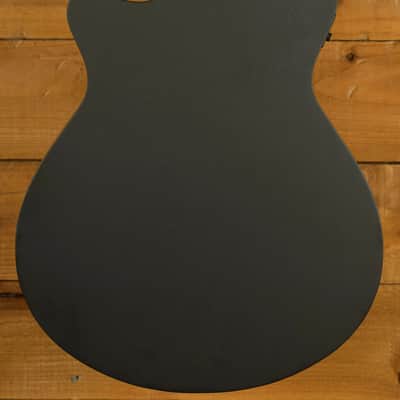 Ibanez AEG1221 AEG Series Electro-Acoustic - Macassar Ebony - Black Out - 12-String image 2