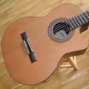 KREMONA F65CW48 Fiesta 65 CW / Crossover Nylon Electro / Performer Series / Made in Europe / 25-050-8-03