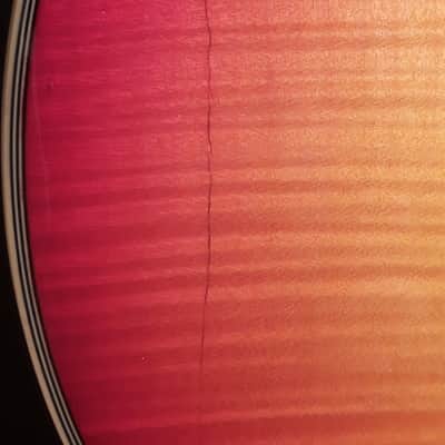 Arbor AP 230 –Les Paul-style – Low Action, Great Tone – Gorgeous Cherry Sunburst image 8