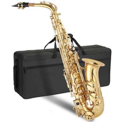 Saxophone Eb Sax Alto E Flat Brass Full Kit Sax With Case Mouthpiece image 8