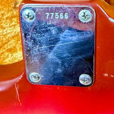 Fender Musicmaster 1962 - Sunburst image 10