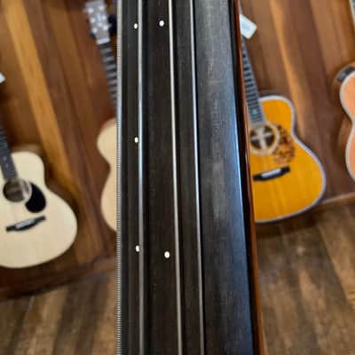 NS Design CR4M Electric Upright Bass (Used) image 10