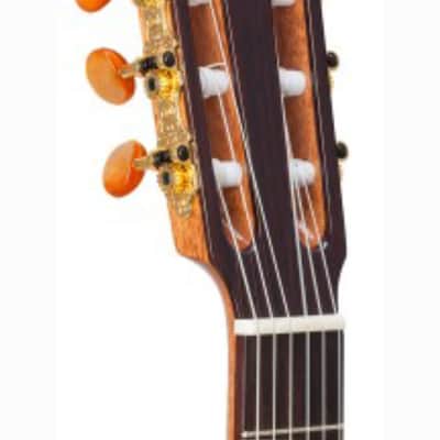 Kremona Rondo TL | Thin-Body Classical Guitar with Fishman. New with Full Warranty image 6