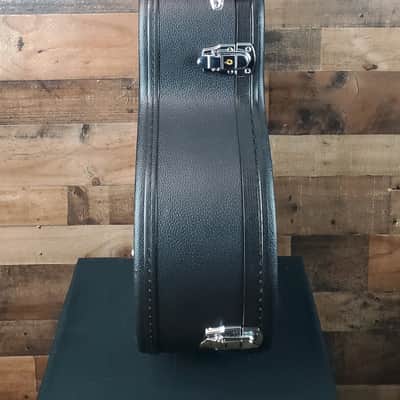 Eastman Guitars AR372CE-P90 Archtop Hollowbody Electric Guitar - Classic, Free Ship, #156 image 13