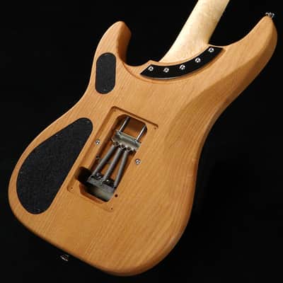 Washburn N4 BirbWire image 2