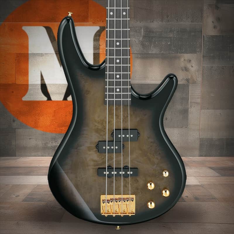 Ibanez Gio SR 4 String Electric Bass - Transparent Pale Black Burst (GSR200PCTPB) image 1