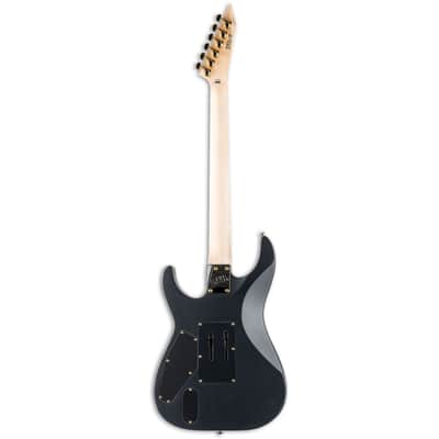 ESP LTD M-1001 CMS image 2