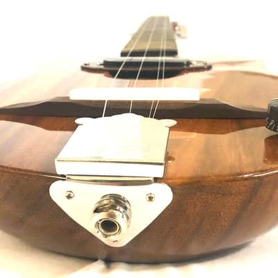 Acoustic/electric dulcimer guitars image 8