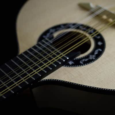 Pedro Santos 10-String Mandolin with VS Tuners | Brazil (Dudu Maia Model) image 3