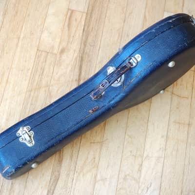 1920s Ludwig Wendell Hall Professional Banjo Ukulele, Vintage Banjolele w/ ohsc image 19