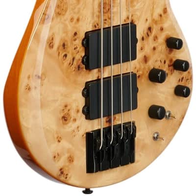 Michael Kelly Pinnacle 4 Electric Bass, Custom Burl, Open Box (Very Good) image 8