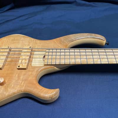 Skjold Wyvern David Dyson Signature Model #3 of 25 5-string Bass image 5