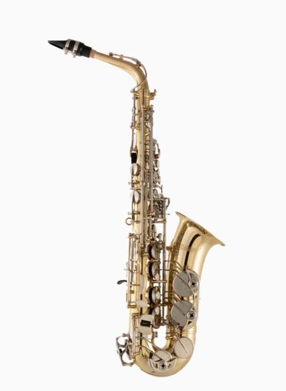 Selmer SAS301 Student Alto Saxophone - Lacquer image 1