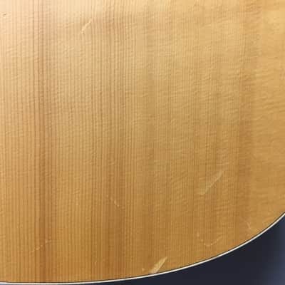 Norman B20 (6) Acoustic Guitar image 3