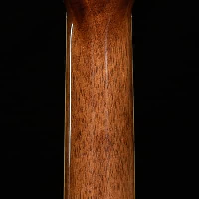 PRS SE AE40E Single Cutaway Tobacco Sunburst (600) image 6