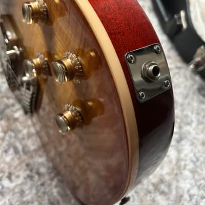 CUSTOMBUCKERS! Gibson Les Paul Standard 2006 w/60’s neck image 7