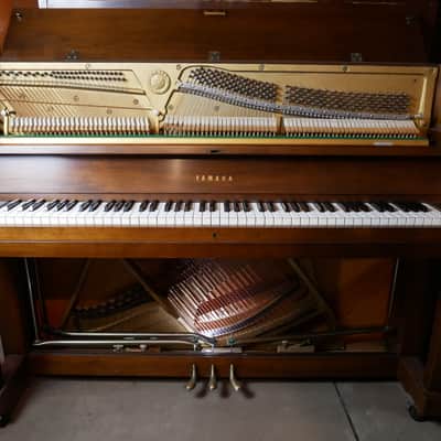 1981 Yamaha P202 image 2