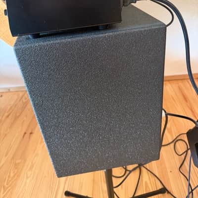 Buscarino Chameleon 2024 - Black image 2
