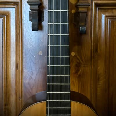 1870s Martin 2-20 Parlor Guitar, Adirondack Spruce & Brazilian RW **Neck Replaced** image 10