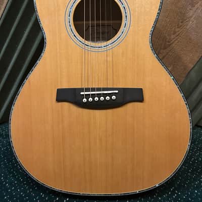 PRS PPE50 - Parlor Size Acoustic Guitar with Built-In Fishman Pickup and Padded Bag image 2