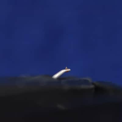 Ortofon SPU DIAM.17 MC Cartridge In Excellent Condition image 8