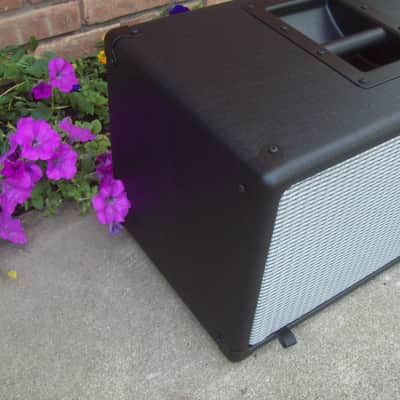 EarCandy Bailey 2x8 guitar amp speaker cab cabinet Black w/ Fender silver face 100 watts image 3