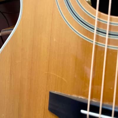 1980 Guild F-50 R image 8