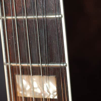 Video Demo 1966 JG Julio Giulietti Hollow Body GREEN 12 String Guitar Original Hard Shell Case image 6